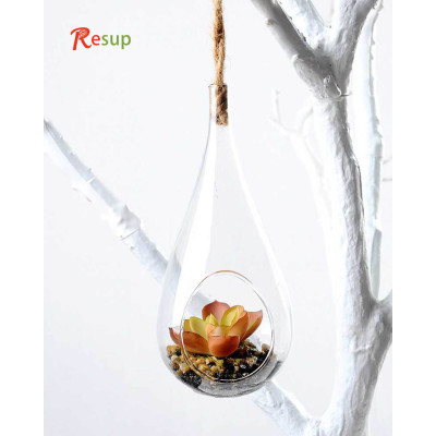 RESUP Artificial Succulent in Glassware 16cm Tall