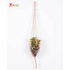 RESUP Artificial Hanging Succulent in Glassware 12cm Tall