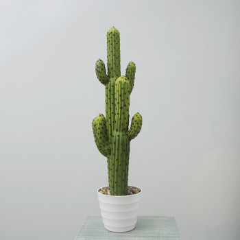 RESUP Artificial Prickly Cactus bonsai in Plastic Pot 01362 31.6'' Tall High Quality Artificial Cactus China Factory China Wholesaler