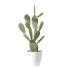 RESUP Artificial Cactus bonsai in Plastic Pot 0139 43.2'' Tall Background Artificial Cactus