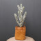 RESUP Artificial Cactus bonsai in Plastic Pot 0143 24.8'' Tall Artificial Cactus Nordic Style Wholesale China Factory