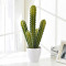RESUP Artificial Cactus Potted for Home Decor 0422 32.8'' Tall Artificial Cactus Plants Wholesale China Factory