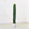 RESUP Artificial Cactus in Pot 0434 59.2'' Tall Indoor Cactus Plants Wholesale China Factory