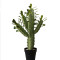 RESUP Artificial Cactus with Plastic Pot 0147 33.6'' Tall Nordic Faux Cactus Wholesale China Factory