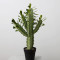 RESUP Artificial Cactus with Plastic Pot 0147 33.6'' Tall Nordic Faux Cactus Wholesale China Factory