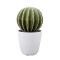 RESUP Artificial Cactus with White Plastic Pot 0150 13.2'' Tall artificial cactus small Wholesale China Factory