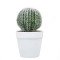 RESUP Artificial Cactus Potted for Home Decor 0260 6.4'' Tall Artificial Cactus Desktop Wholesale China Factory