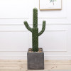RESUP Artificial Cactus in Pot for Home Decoration 0144 69.2'' Tall Indoor Cactus Plants Wholesale China Factory