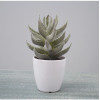 RESUP Artificial Cactus with Plastic Pot for Home Decoration 0148 9.2'' Tall Mini Artificial Cactus Wholesale China Factory
