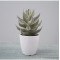 RESUP Artificial Cactus with Plastic Pot for Home Decoration 0148 9.2'' Tall Mini Artificial Cactus Wholesale China Factory