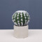 RESUP Artificial Cactus in Cement Pot for Home Decor 0149 5.6'' Tall Artificial Cactus Ball Wholesale China Factory