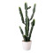RESUP Artificial Cactus with Plastic Pot for Home Decor 0138 38'' Tall Faux Cactus Instagram Wholesale China Factory