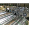 ss400 grade  prime quality Hot dipped Galvanized steel coil export to India