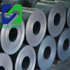 Low Price!!! Hot Rolled Steel Coil/ Hot Rolled Coil/ Hrc Ss400 Q235 St37