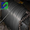 Wire rod in steel wire mill manufacturers