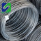 SAE1008 wire rod 6.5mm hot rolled steel wire rod in coils in China