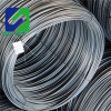 China Manufacturer Hot Rolled Steel Wire Rod In Coils for making rush,spring ,gabion