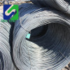 sae 1008 wire rod 5.5mm and low carbon steel in china