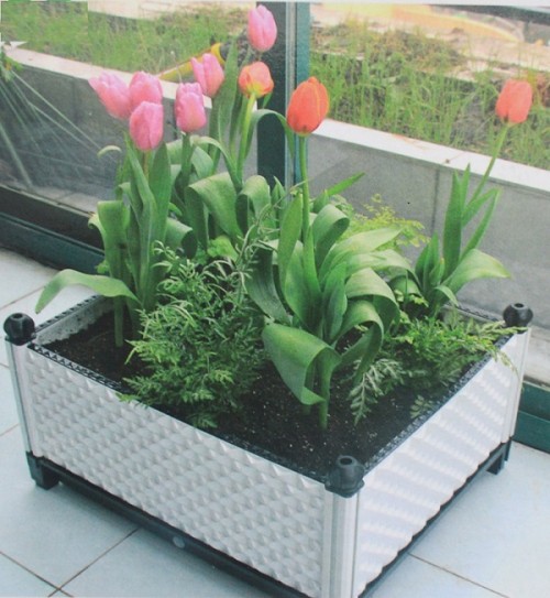 Garden bed Raised garden bed Elevated planter box