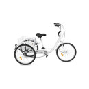 Best sale electric tricycle 3 wheel cargo tricycle adult electric bike for elder with basket