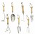 wholesale high quality wooden handle gardening hand fork trowel set