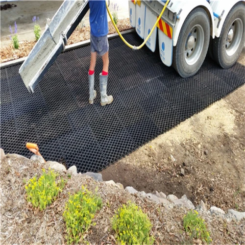 PP over 1000tons loading plastic grids plastic grass paver in China