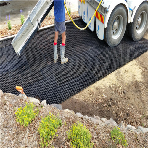 pavimentos de grama poroso plástico de lote de parque HDPE pavimentando grades