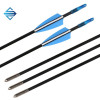 Fiberglass Arrow with Replaceable Arrowhead Spine 500 for Recurve and Coumpond Bows Archery
