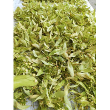 Lack of stock for Linden Flowers
