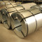 Hot dipped full hard galvanized steel roll with stock