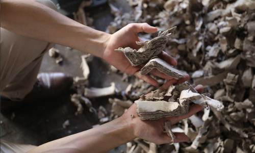 Large Diameter Cardboard Tubes Shredder