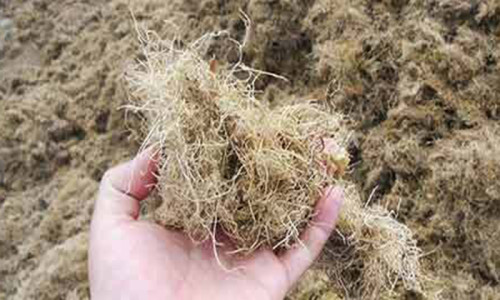 Palm Kernel Shell Shredder in RDF Production