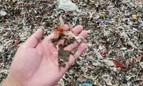 Recycle The Paper Mill Waste in an Economical Way