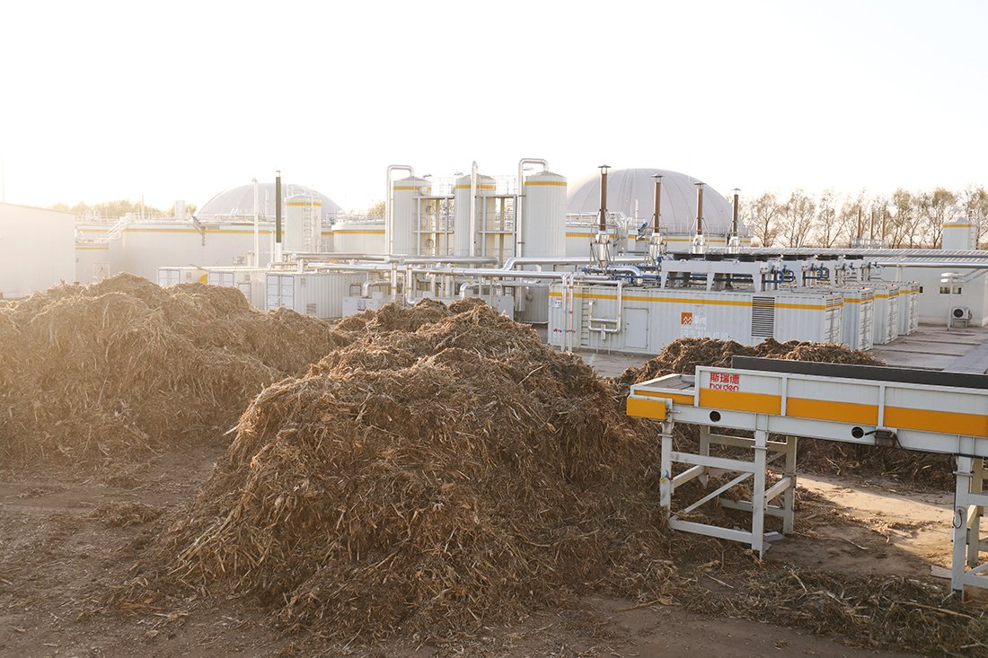 Biomass Co-Firing: Unlocking a Low-Carbon Future for Sustainable Development