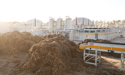Biomass Co-Firing: Unlocking a Low-Carbon Future for Sustainable Development