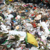 A New Model To Deal With Municipal Solid Waste