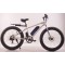 36V 250W 26 FAT E-bike disc brake CE certification