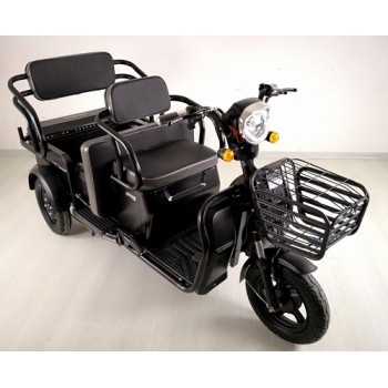 cheap three wheel disabled electric tricycle adults passenger seat 3 wheel tricycle 48V 650W 12 tubes controller