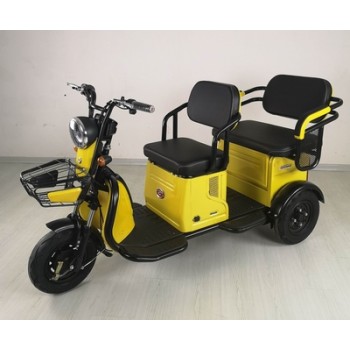 high quality 3wheel disabled electric scooter tricycle for elder people 48V 500W 9 tubes controller