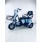 Disabled Adults Passenger 3 Wheel Electric Tricycle 48V 500W