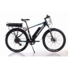 Trekking Electric Bike/26 Inch Aluminium 6061/Disc brake/350W/36V 15.6Ah