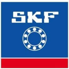 How to choose SKF bearing?