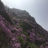 Notas de viaje de SUNBEARING