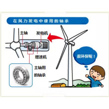 Complete Guide on Which Bearing type Can Be Used for Wind Turbines