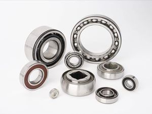 bearing housing fits