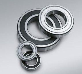 oil seal bearing