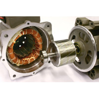 Motor Bearings-Mainly Deep Groove Ball Bearings or Sliding Bearings in Hollow Cup Motors