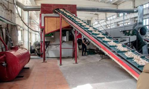 Industrial High-Capacity Rotary Molding Line for Ice Cream Sticks | Global OEM ODM Manufacturer & Wholesale Supplier of Food Processing Equipment
