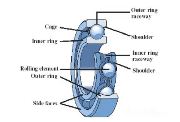Complete Guide on How to Lubricate Motor Bearings [Quick]