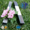 China Good Supplied Weld Black Annealed Square Size 0.6-2.0 mm Thin Wall Steel Pipe